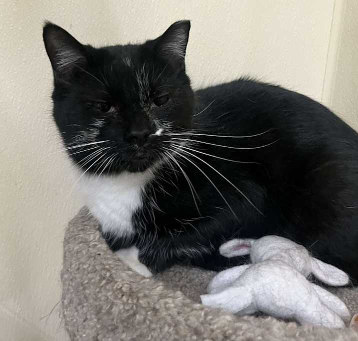 Photo of Klondike