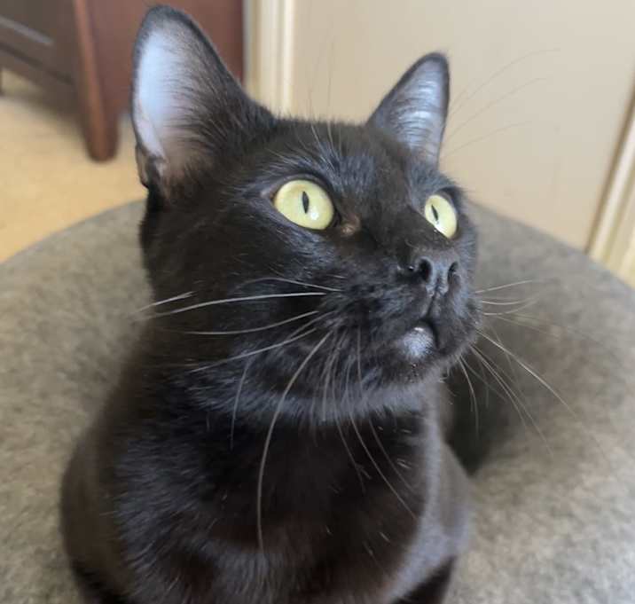 Photo of Larry