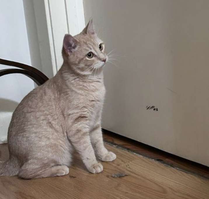 Photo of Sunny