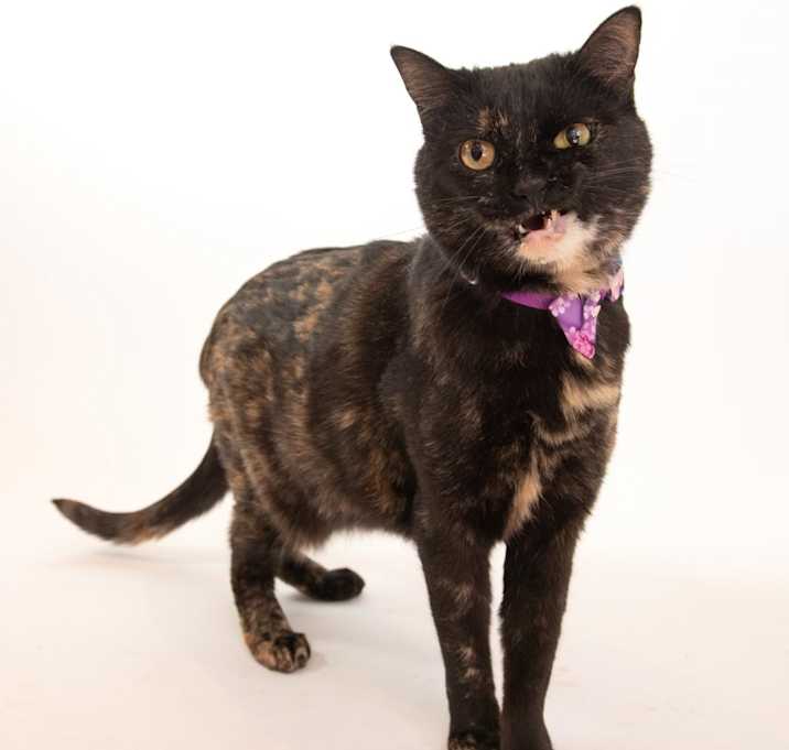 Photo of Emmalee