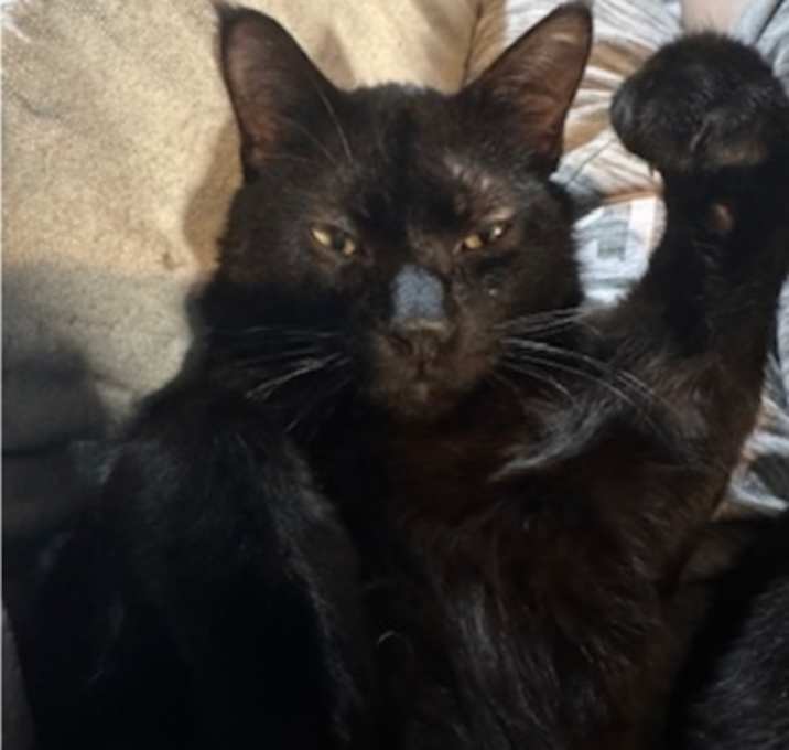 Photo of Cuddles