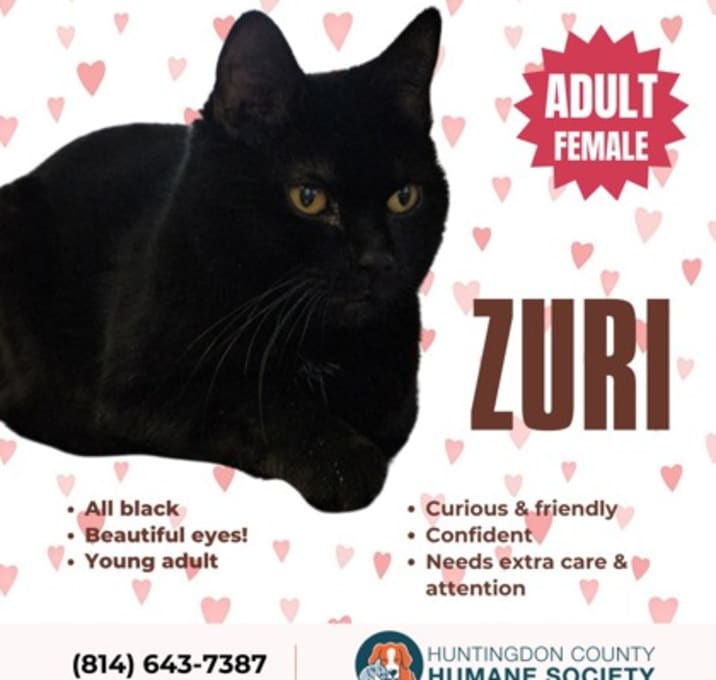 Photo of Zuri