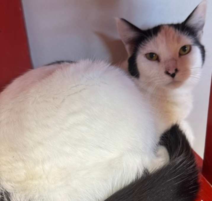 Photo of Beatrix