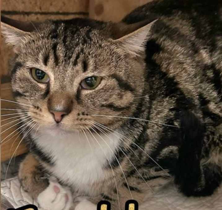 Photo of Fright