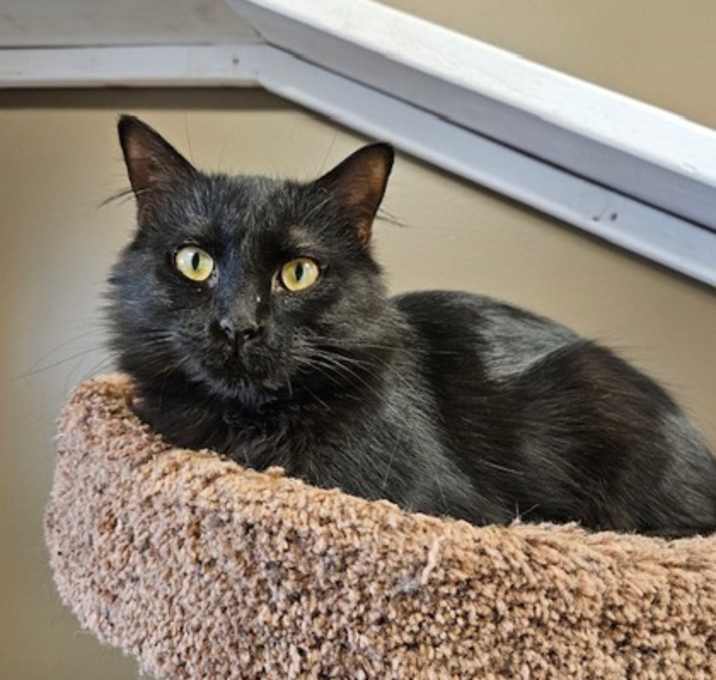 Photo of Betty