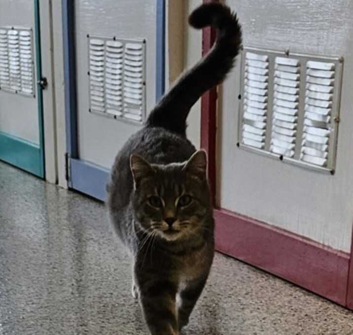 Photo of Theodore