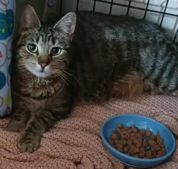 Photo of Tiny