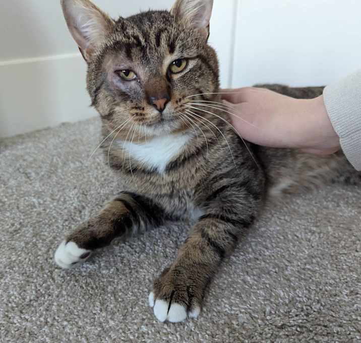 Photo of Alastor