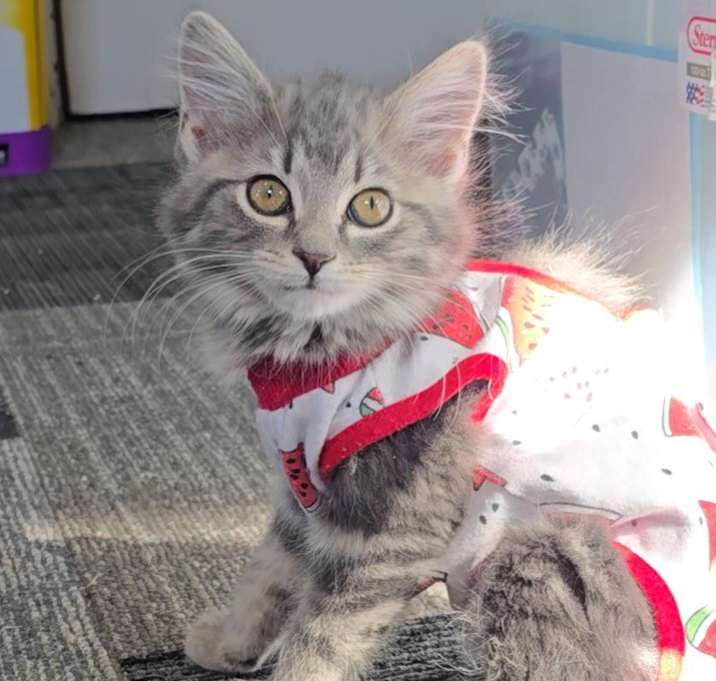 Photo of Charm