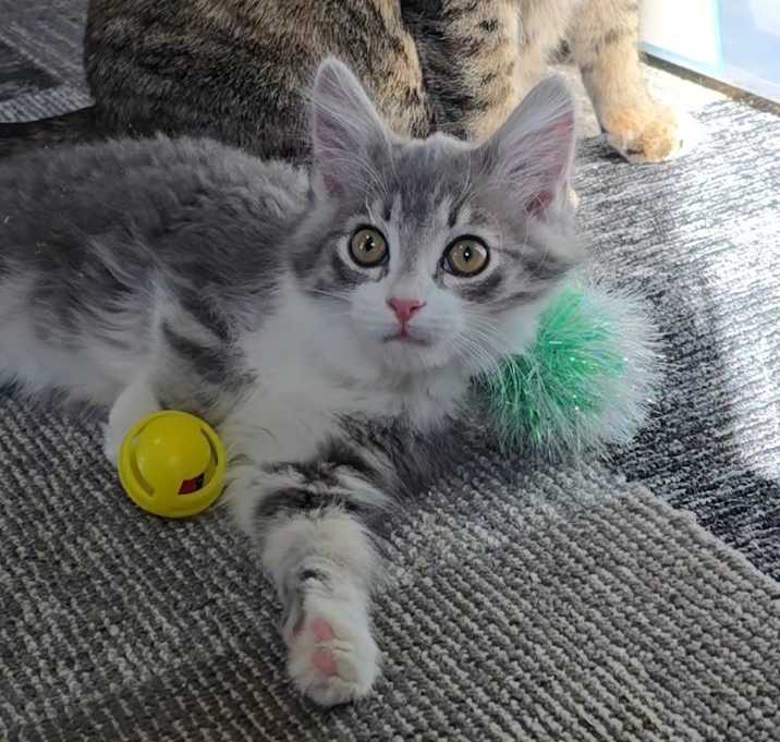 Photo of Cupid