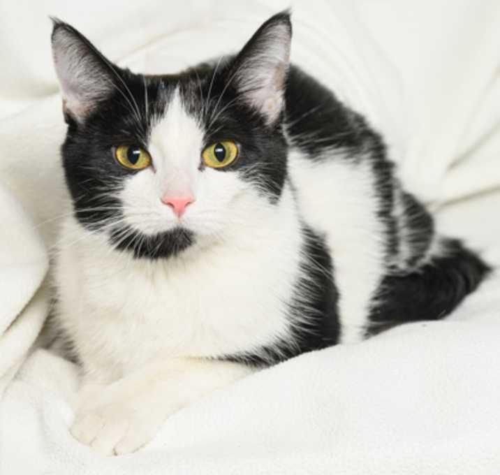 Photo of Maeve