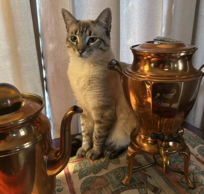 Photo of Rupi
