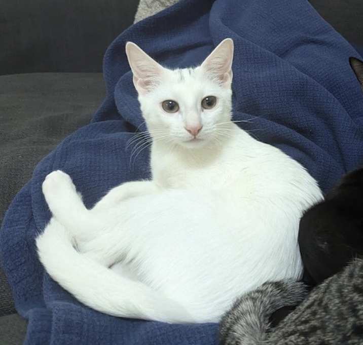 Photo of Gwen