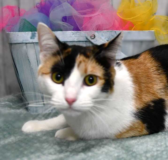 Photo of Lola