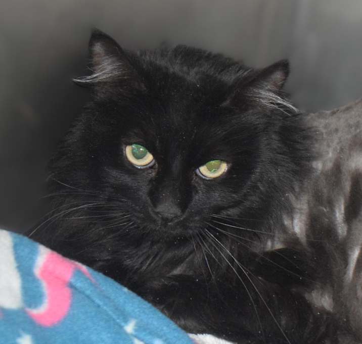 Photo of Kiki