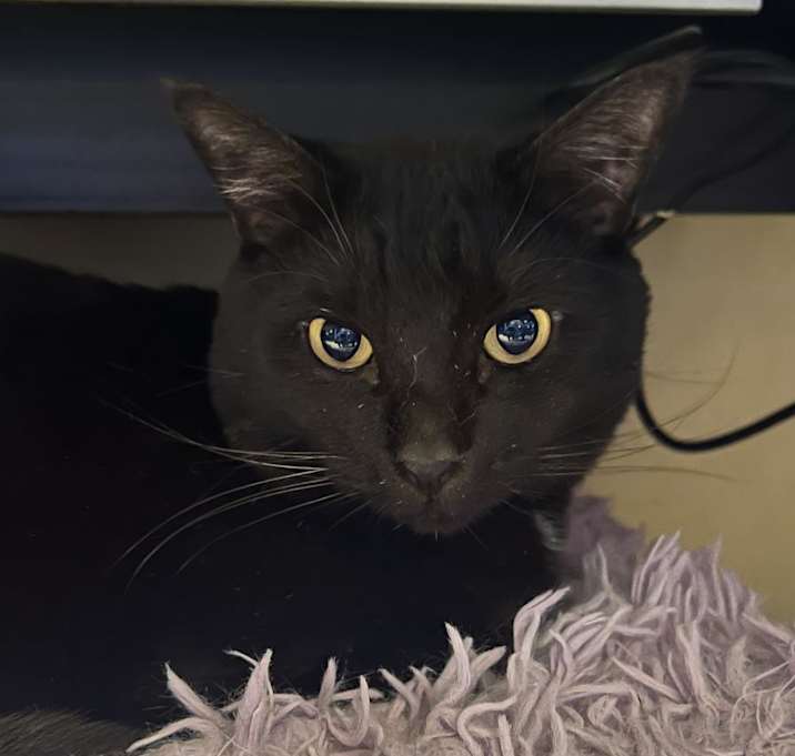 Photo of Spooky