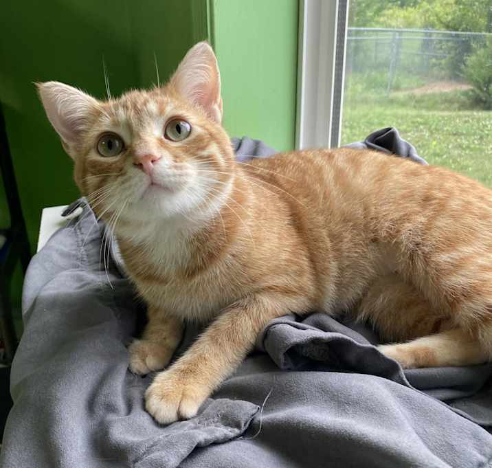 Photo of Mac