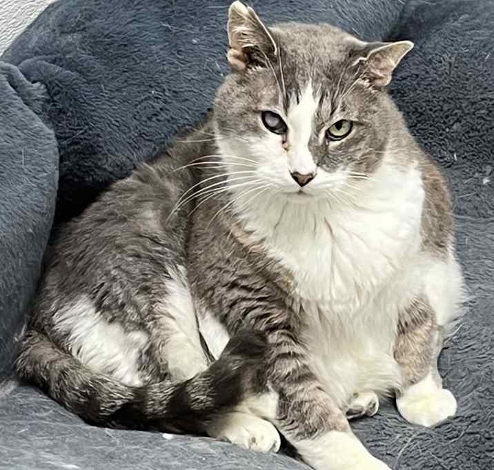 Photo of Gatsby