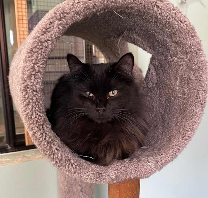 Photo of Bill