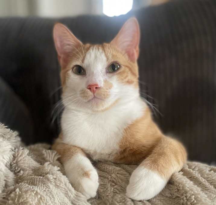 Photo of Sunny