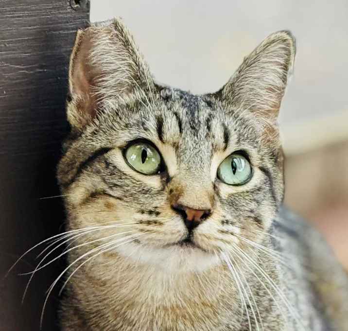 Photo of Fliss