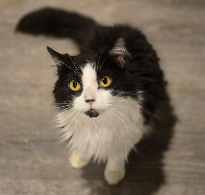 Photo of Tess