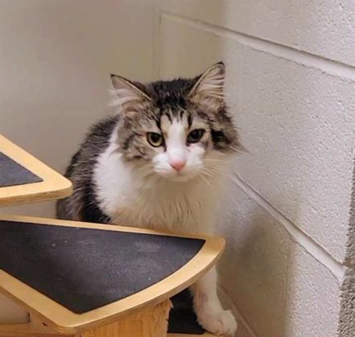 Photo of ZEPHYR