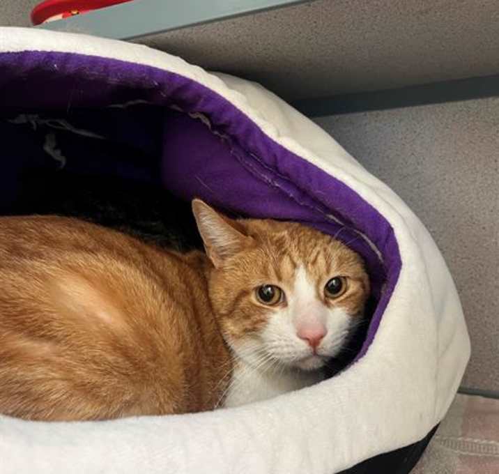 Photo of TIGGER