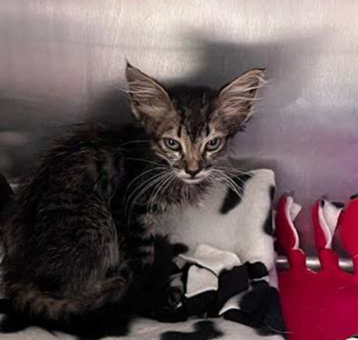 Photo of No Name