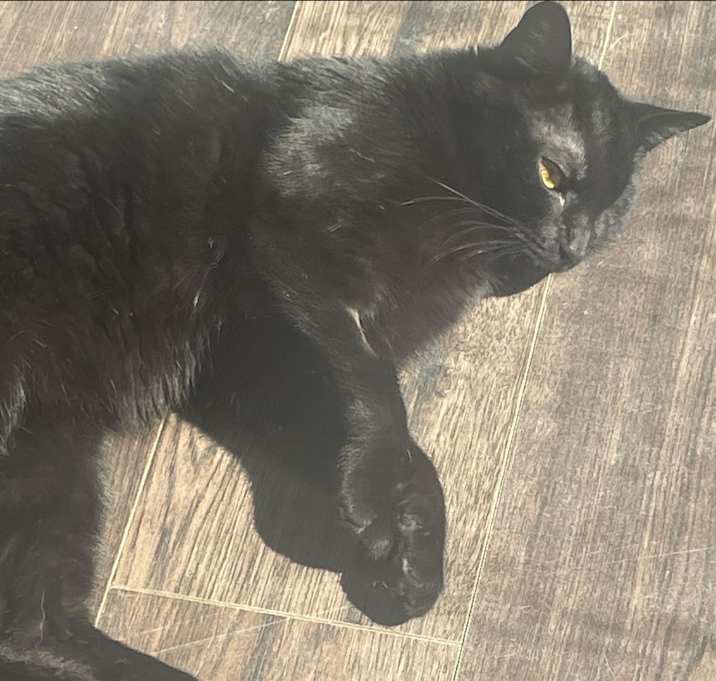 Photo of Winky