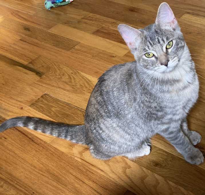 Photo of Nani