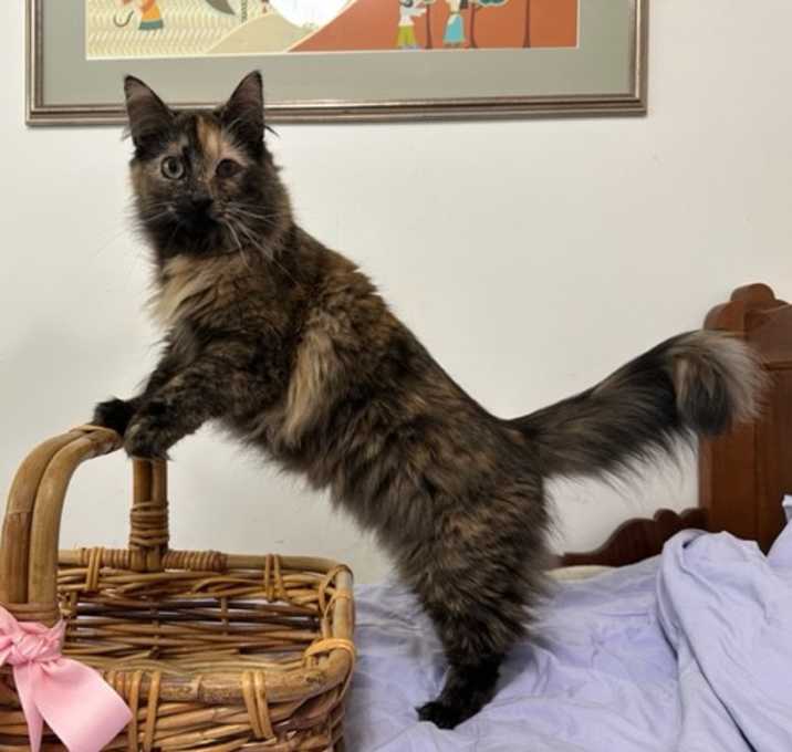 Photo of Kaia