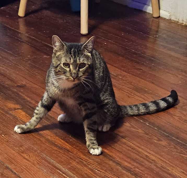 Photo of Thor