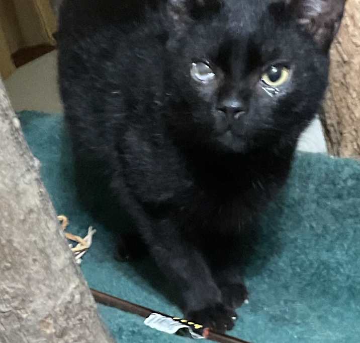 Photo of Terry