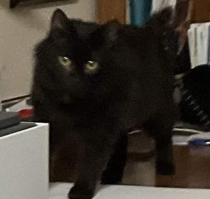 Photo of Wendy