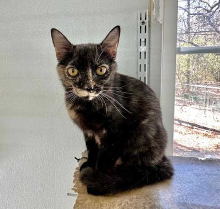Photo of Junebug