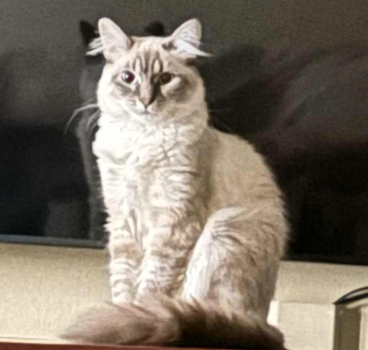 Photo of Miss Abundance