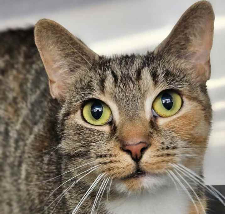 Photo of Tabitha