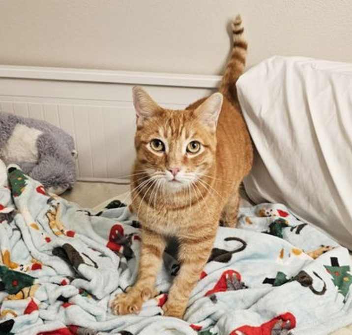 Photo of Golly