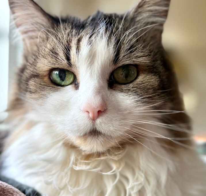 Photo of Emma 