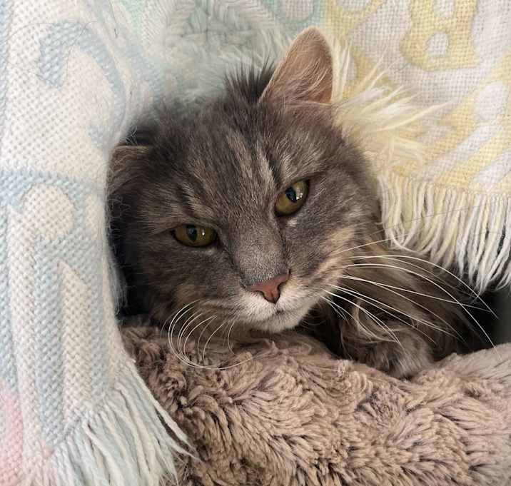 Photo of Juliet
