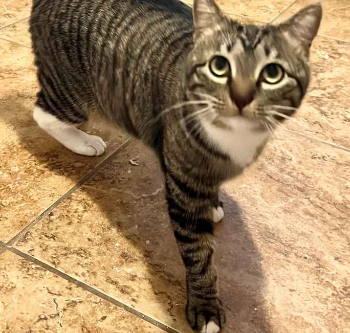Photo of Maggie