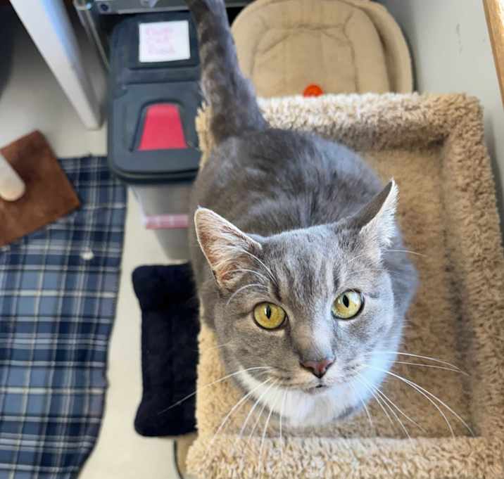 Photo of Romeo