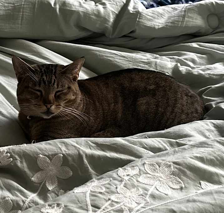 Photo of Jojo