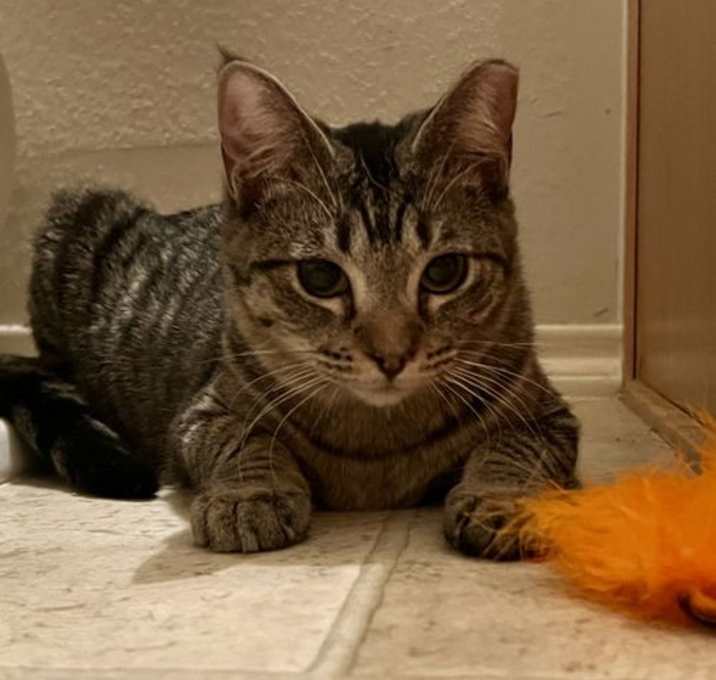 Photo of Gigi