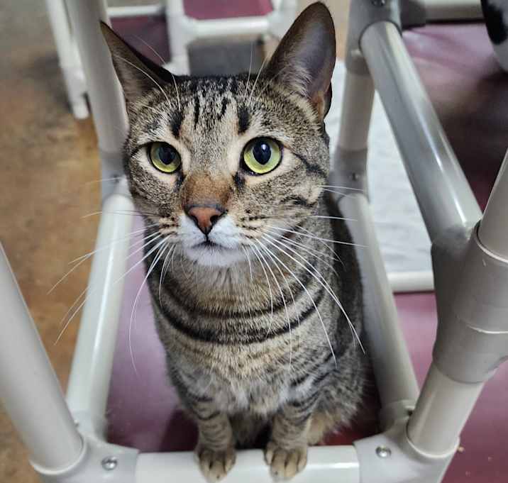 Photo of Fiona