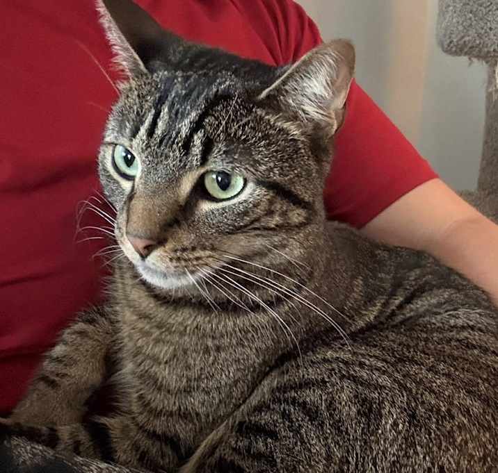 Photo of Toby