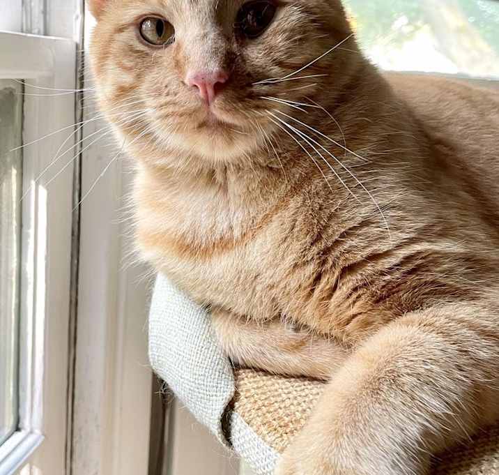 Photo of Bubba Alfred