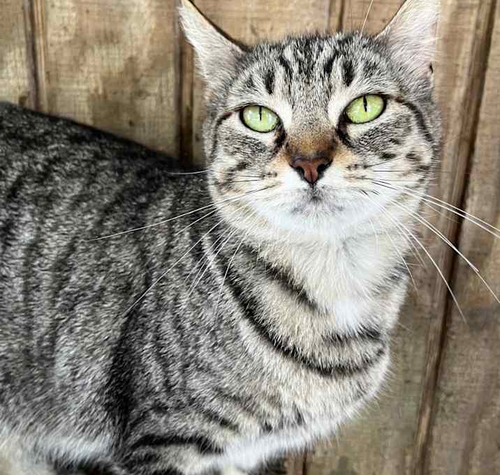 Photo of Tahlia