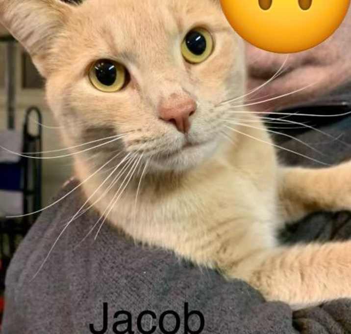 Photo of Jacob